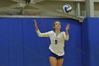 Wheaton Women's Volleyball  Wheaton Women's Volleyball vs Bridgewater State University. : Wheaton, Volleyball, BSU, Bridgewater State College